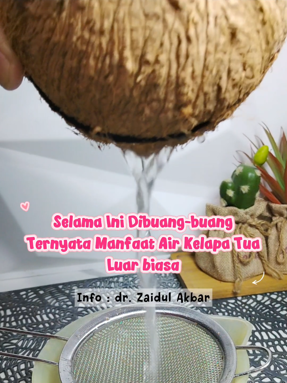 @dapoerbunmik