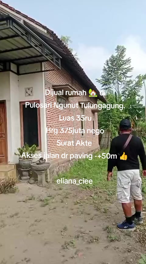@eliana