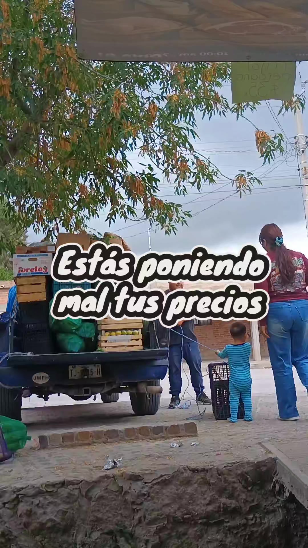 @Conecta-dos