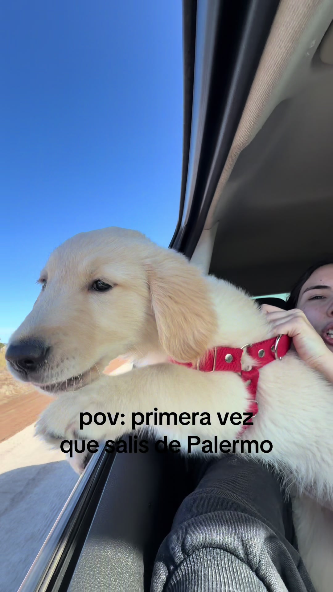 @Panchalagolden