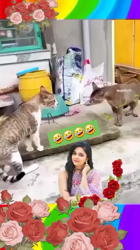@💙 madhumita 💙