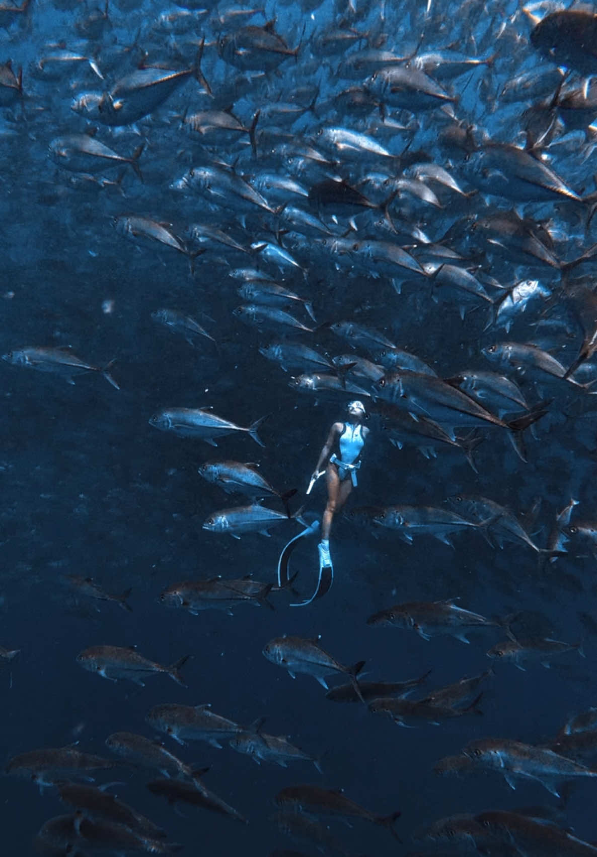 @Love Freediving Nha Trang