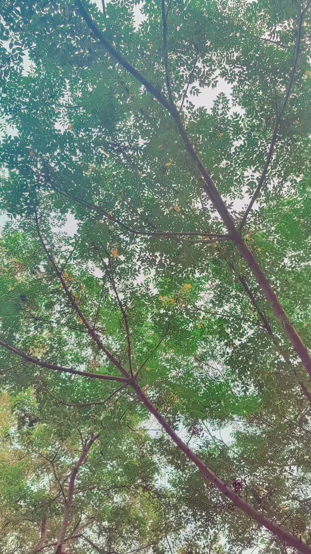 @S ᴀ ᴍ ᴀ ʀ࿐Sђ&alpha;ђ★043