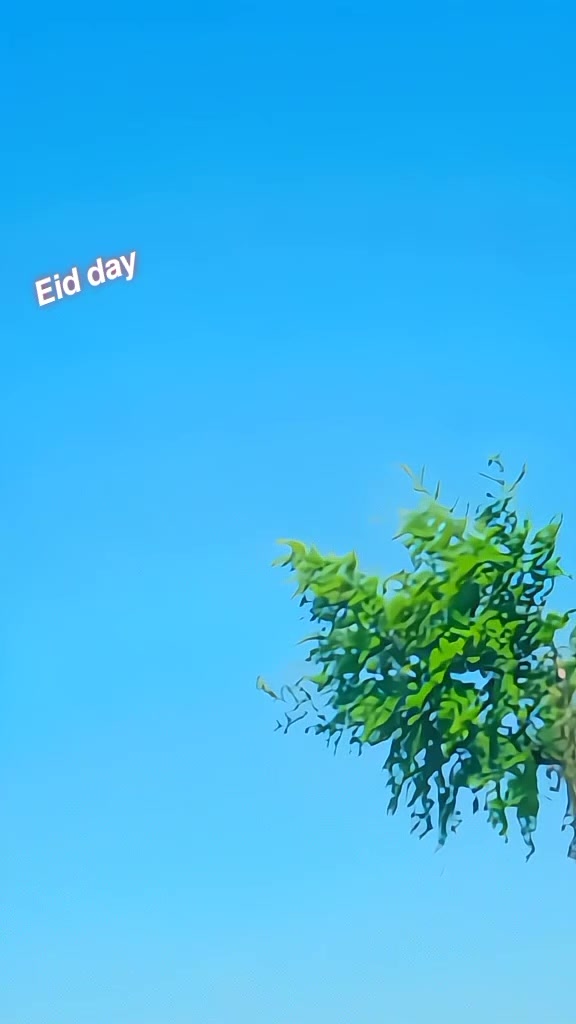 @🌸 R ᴏ ʜ ɪ B ʀ ᴀ ɴ ᴅ🌸
