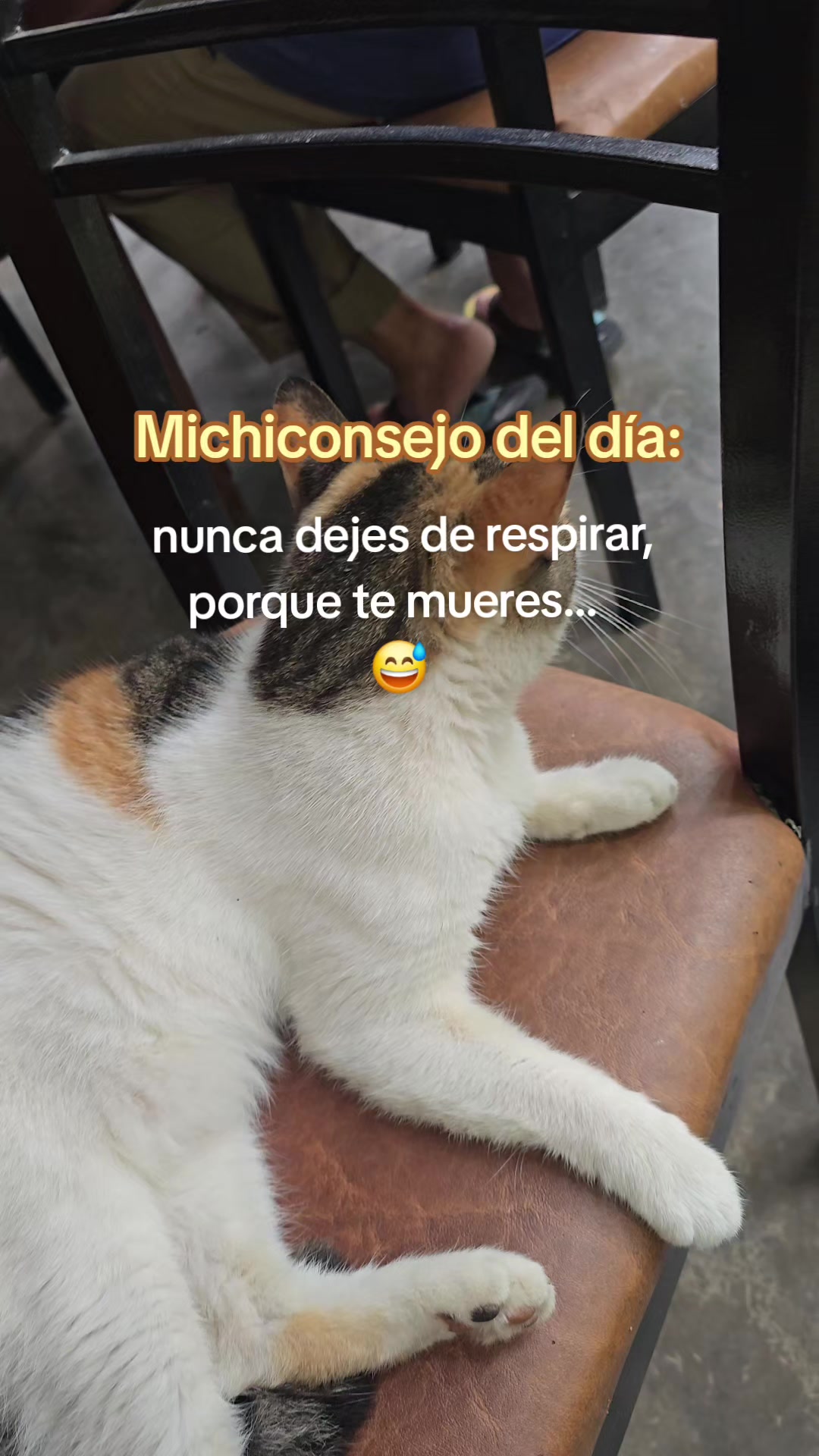 @Denis@chuqui
