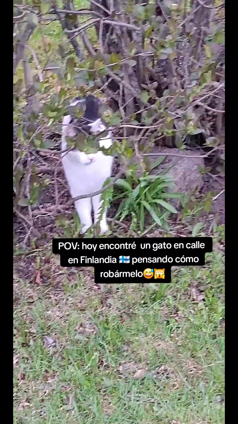 @Jessica Davila