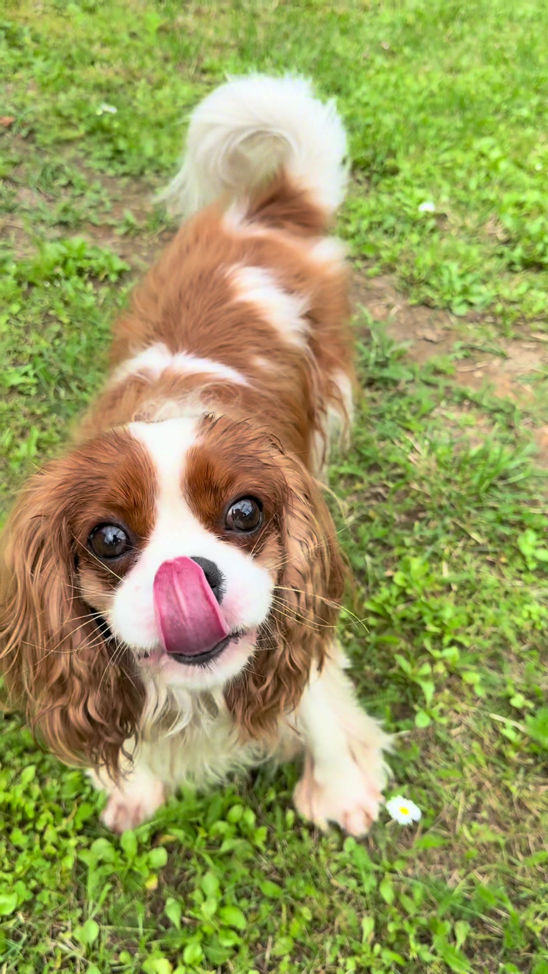 @Фаби🐶
