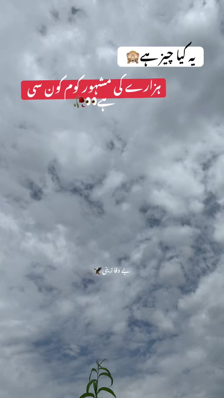 @جانی❣️z