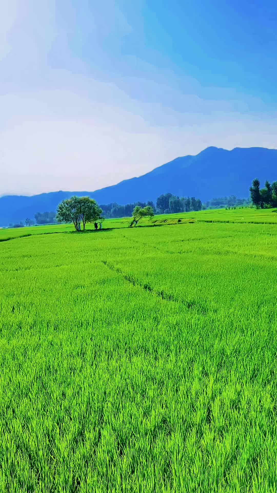@♛꧁༒𝐇𝐊☠𝐌𝐀𝐋𝐀𝐊ᵒ𝟑𝟑🇵🇰༒꧂♛