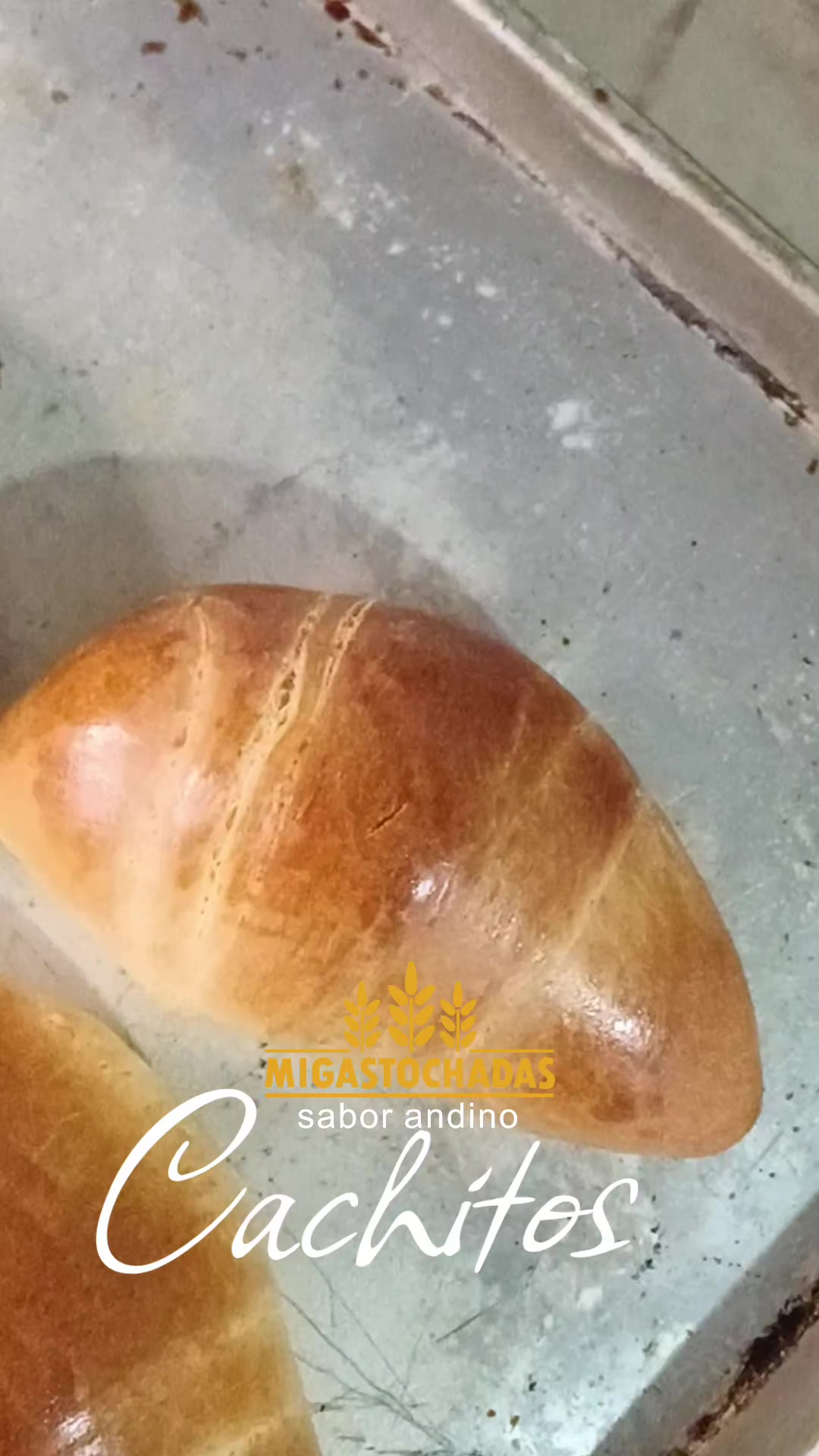 @Tequeños y pastelitos andinos