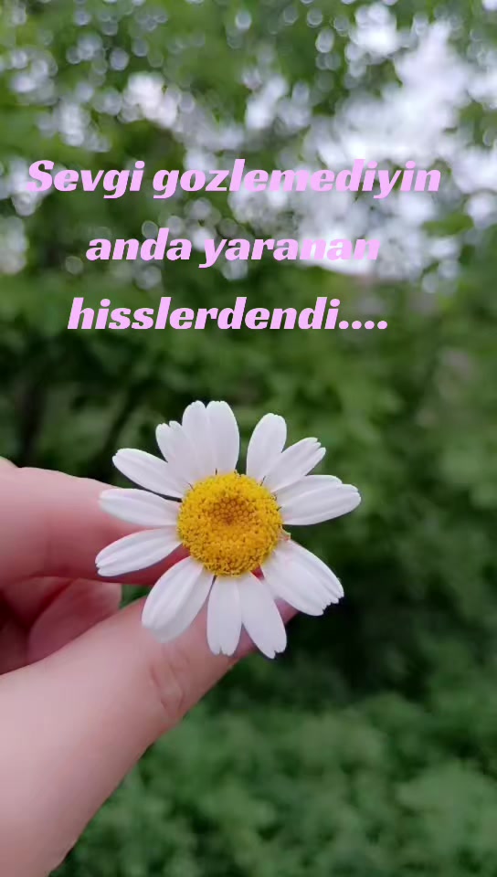 @♑🌺 Dan_ulduzu🌺♑