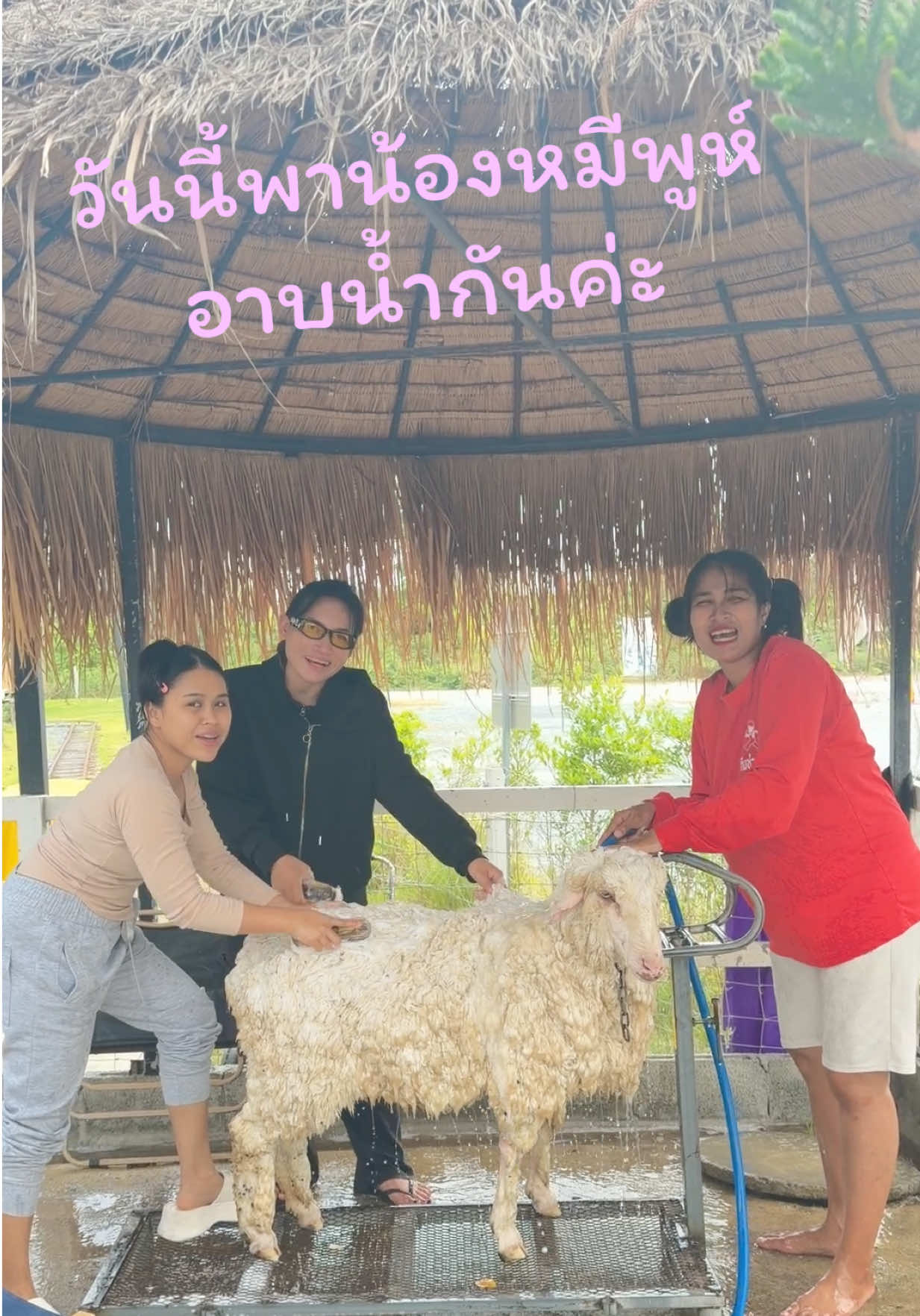 @I LOVE FARM