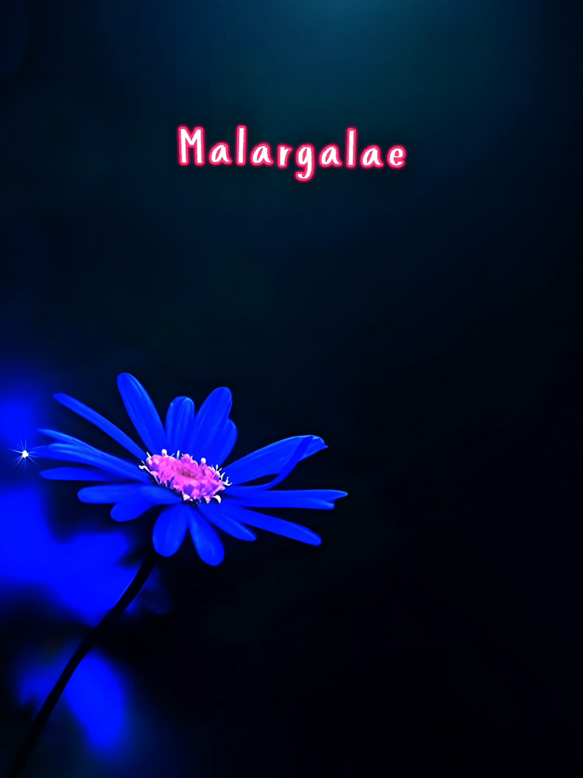 @Maari_lyrics😎