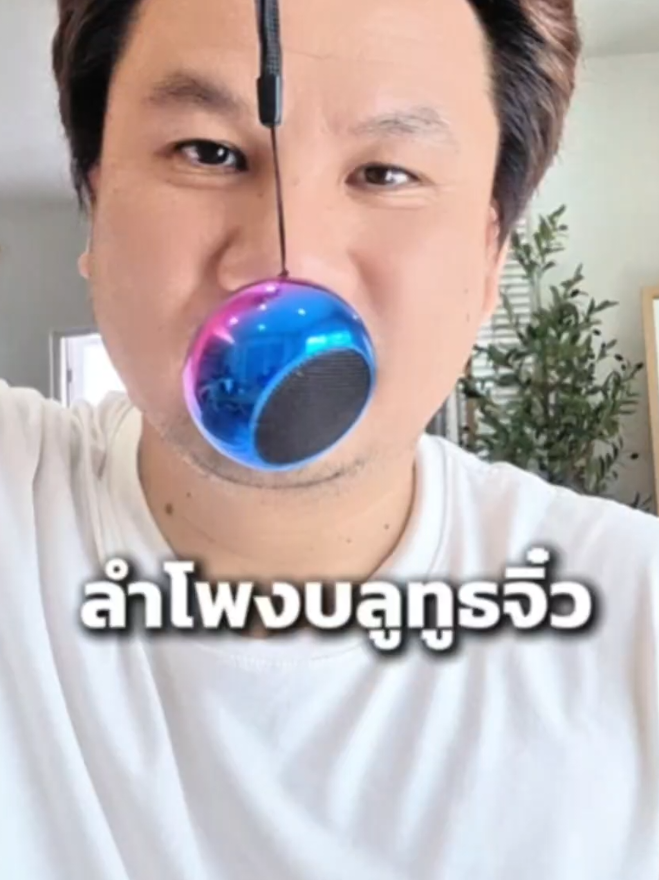@วายโอ โย