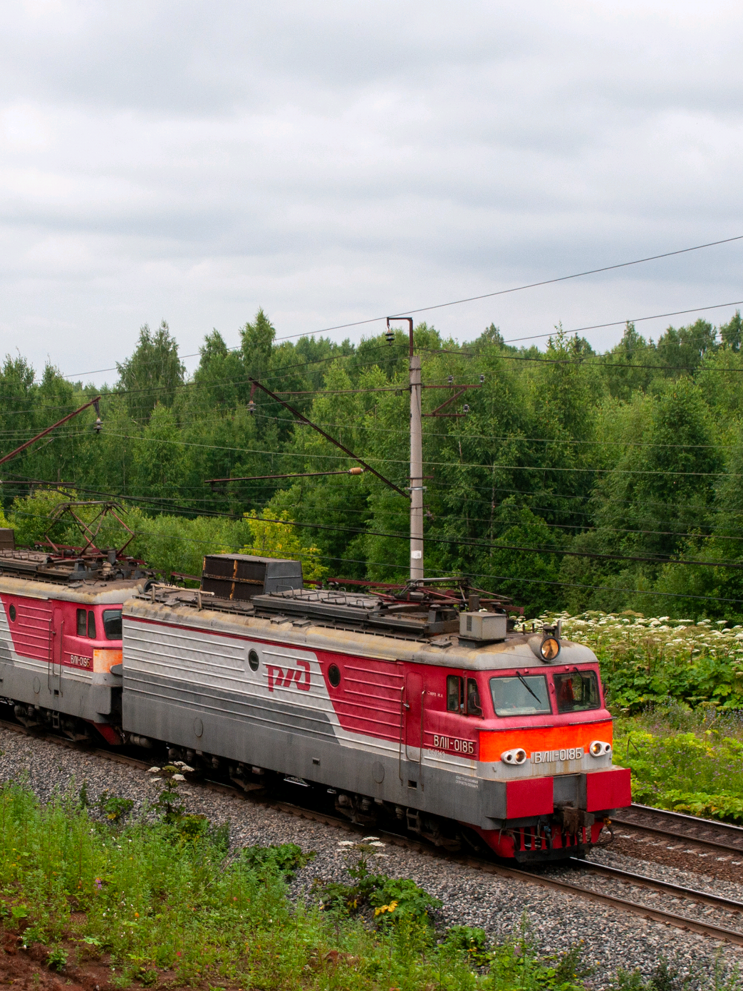 @𝖉𝖔𝖓𝖊𝖈𝖕𝖔 (RZD)