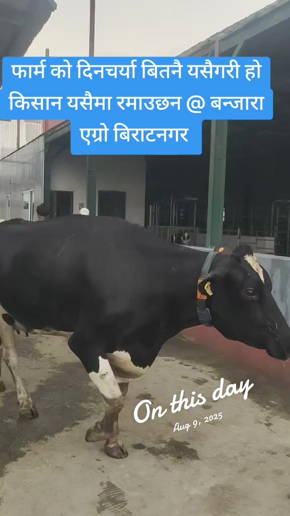 @Banjara Agro