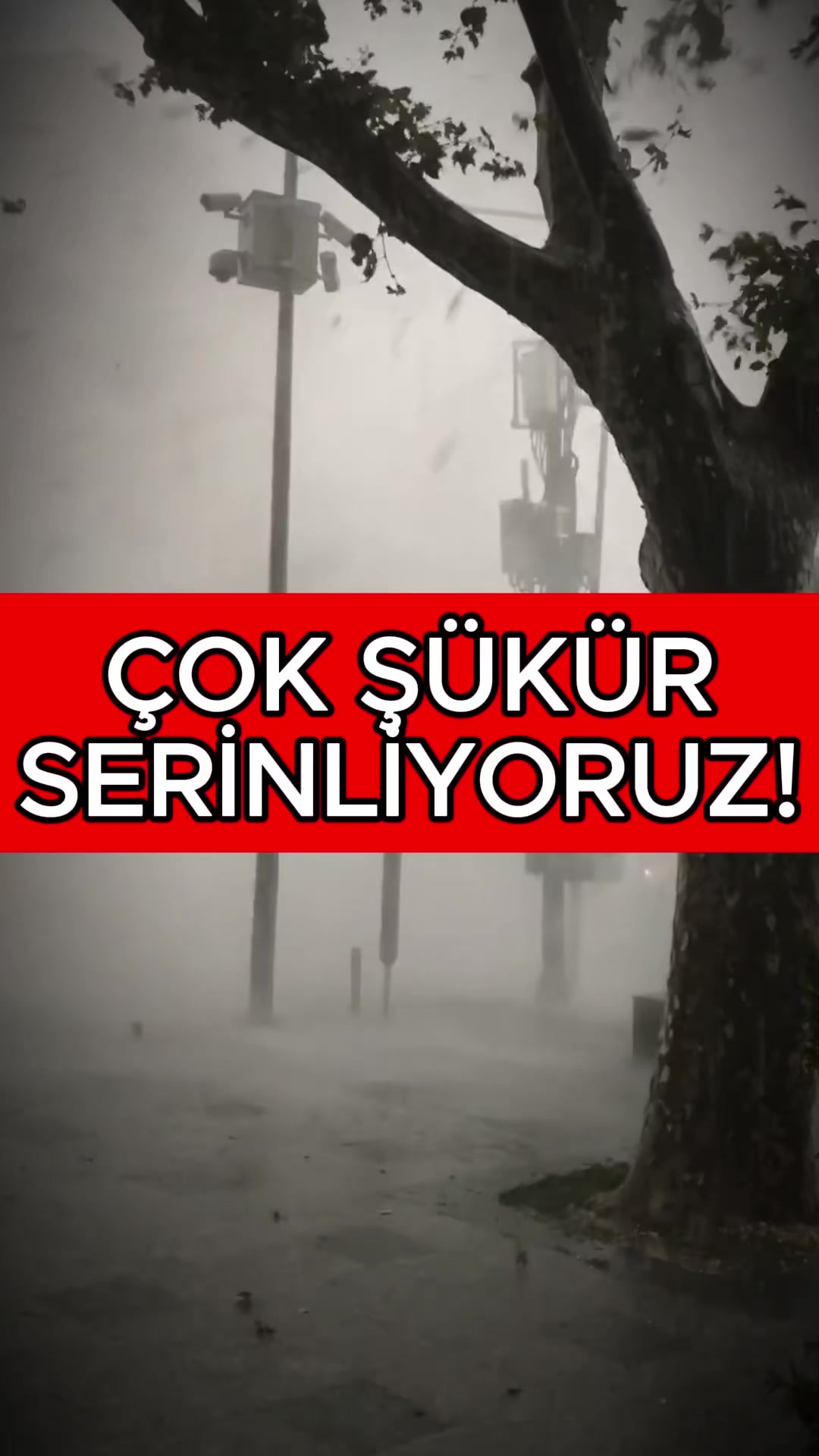 @Havadar