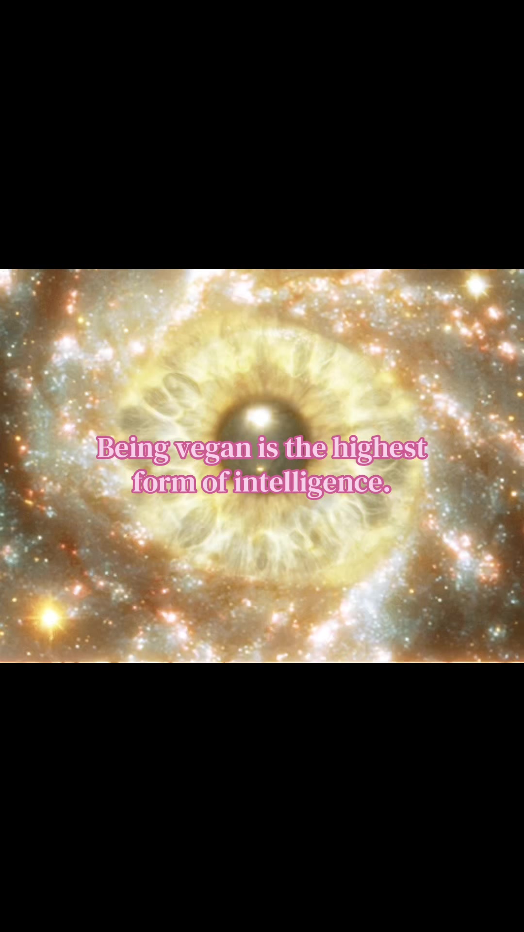 @₊˚⊹♡🧘🏼&zwj;♀️🌀🌞 ˚｡⋆౨ৎ