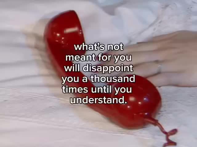 @Tabs Fan