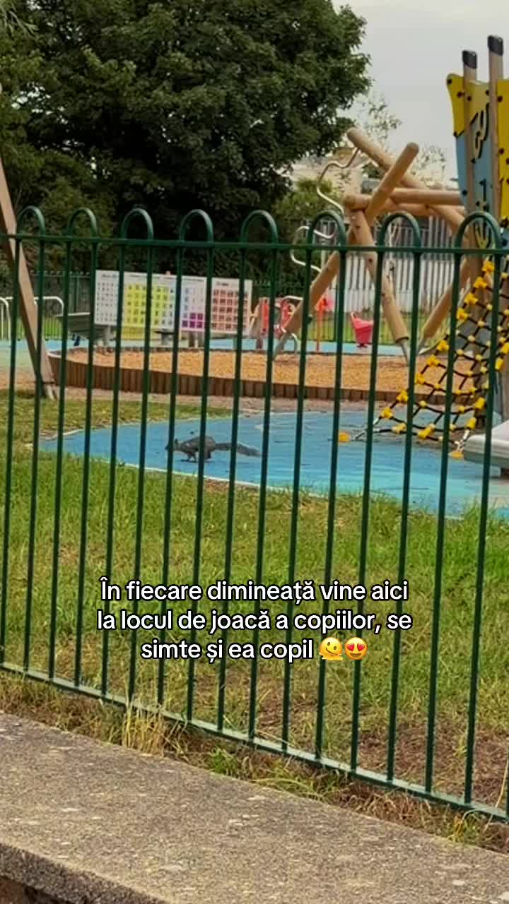 @Caterina Graur