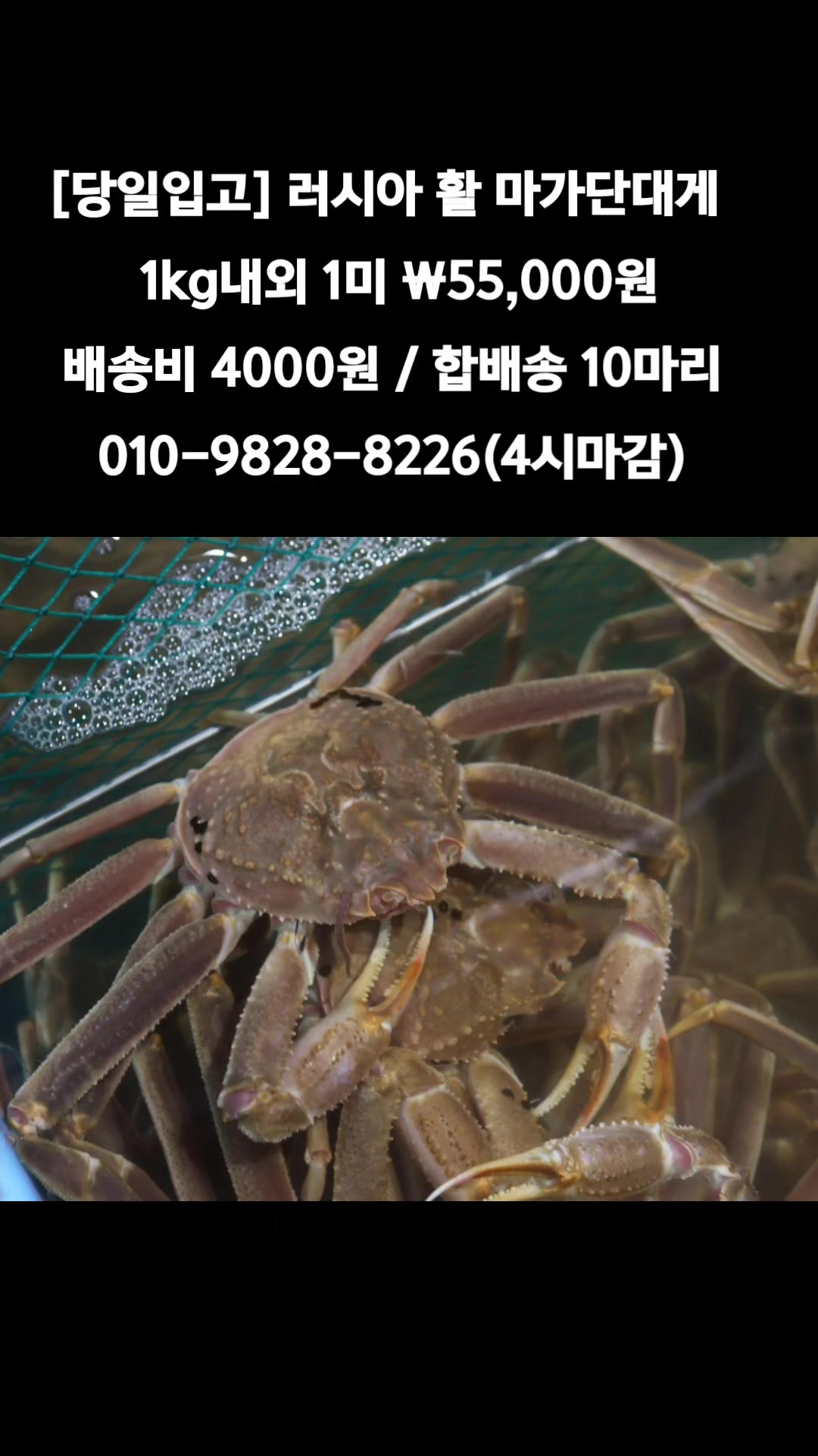 @똑손