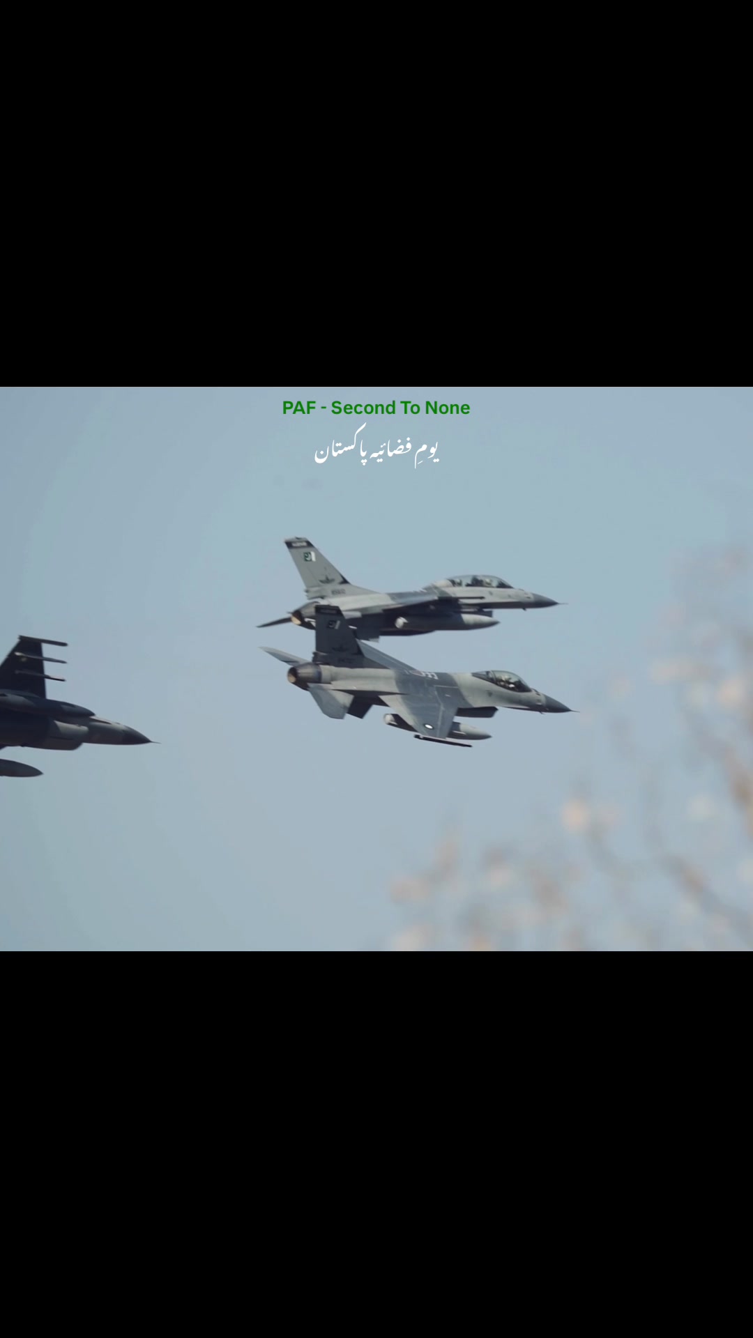 @SHAMSHER KHAN NIAZI | PAKISTAN