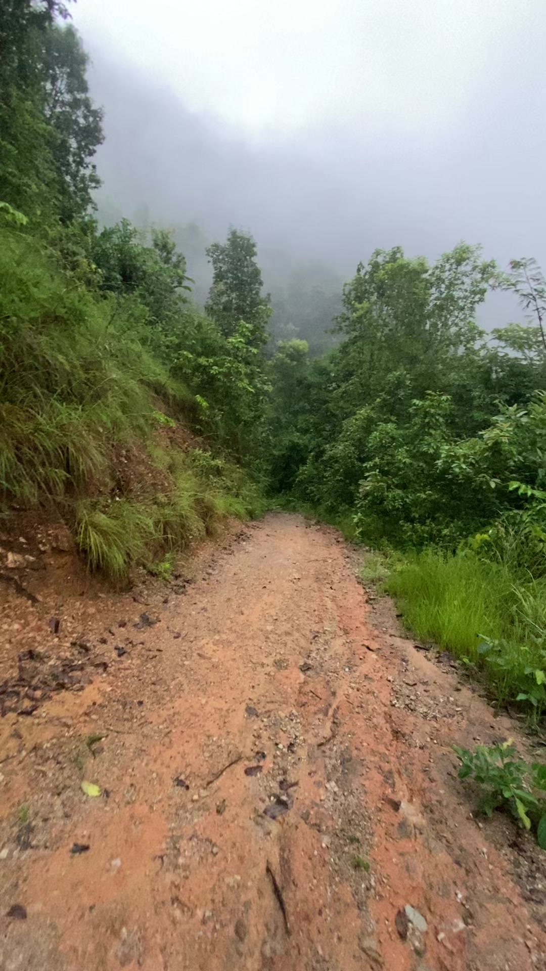 @थानेश्वर ज्ञवाली