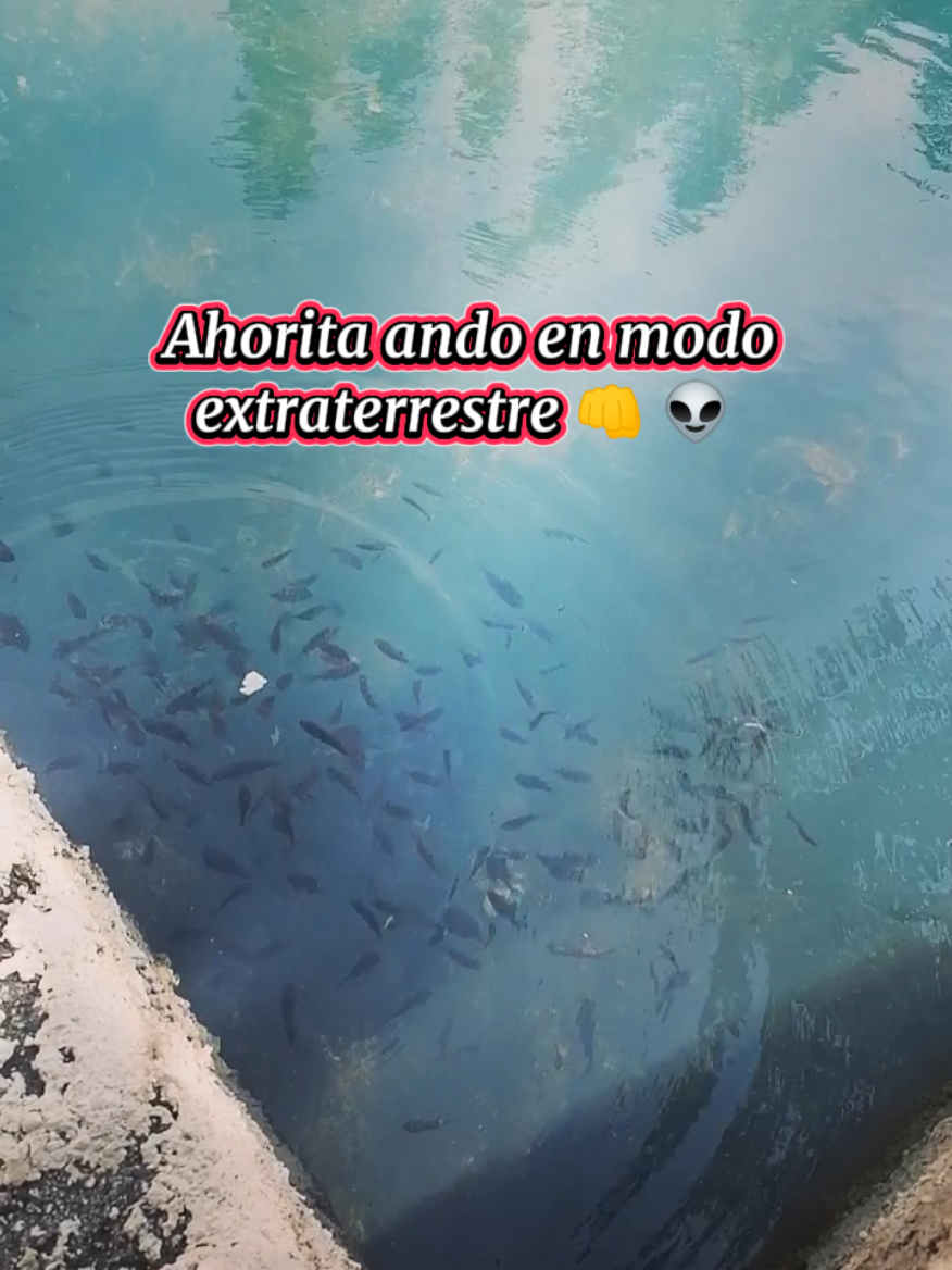 @Guerita