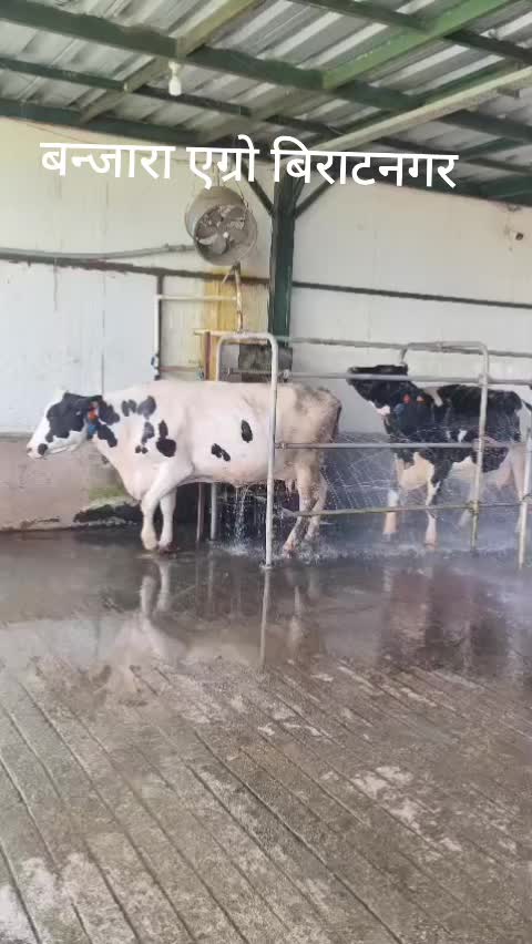 @Banjara Agro