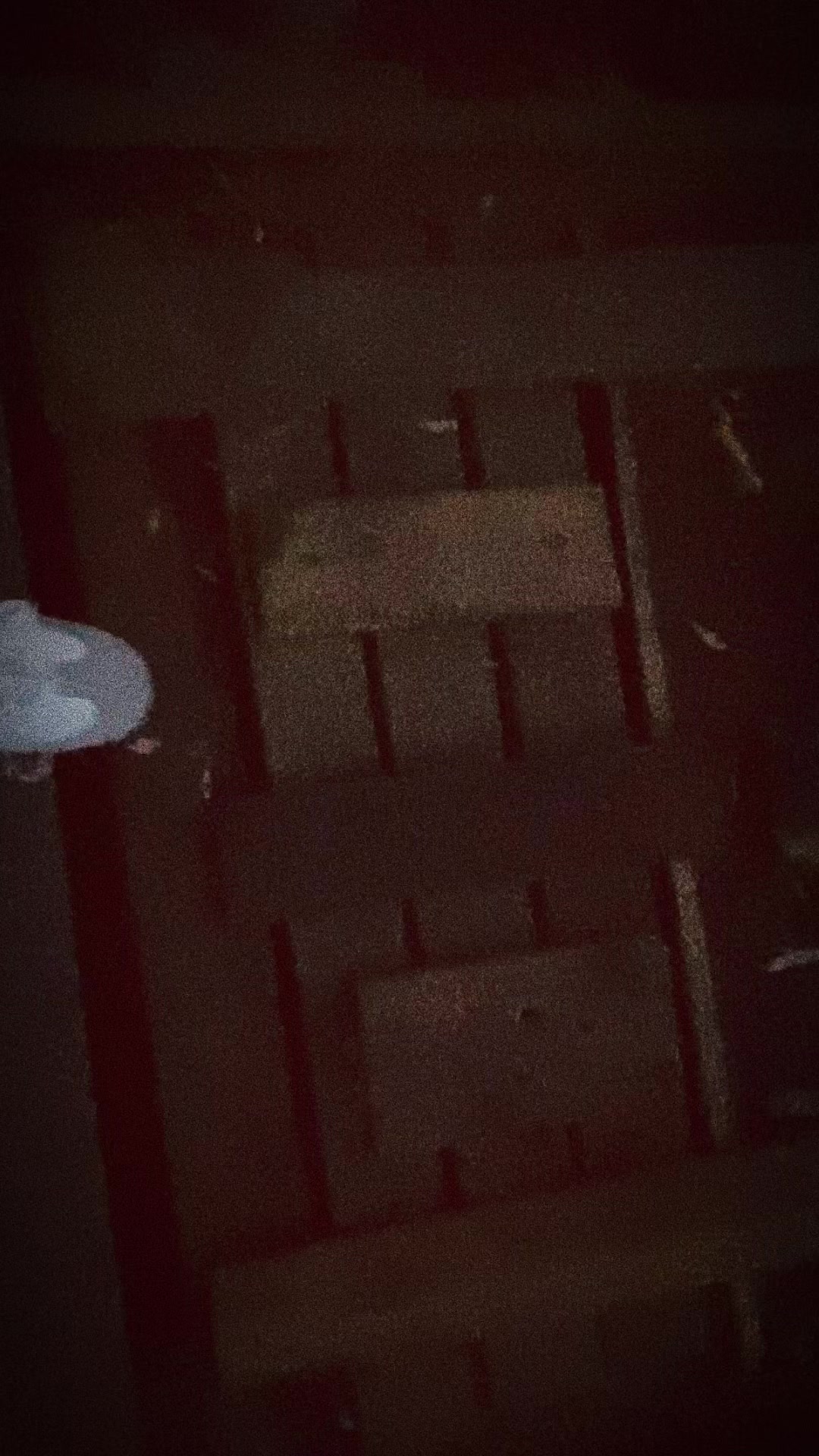 @🧸