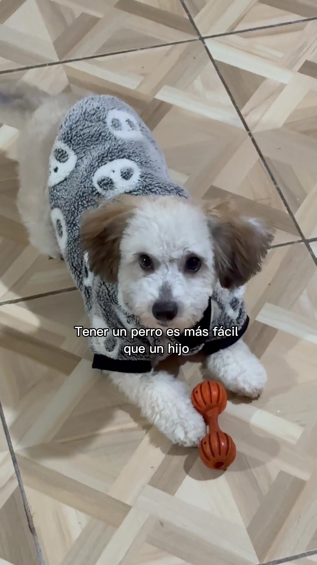 @Monserrath Martínez