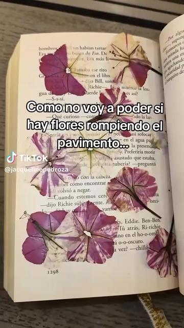 @México 🇲🇽