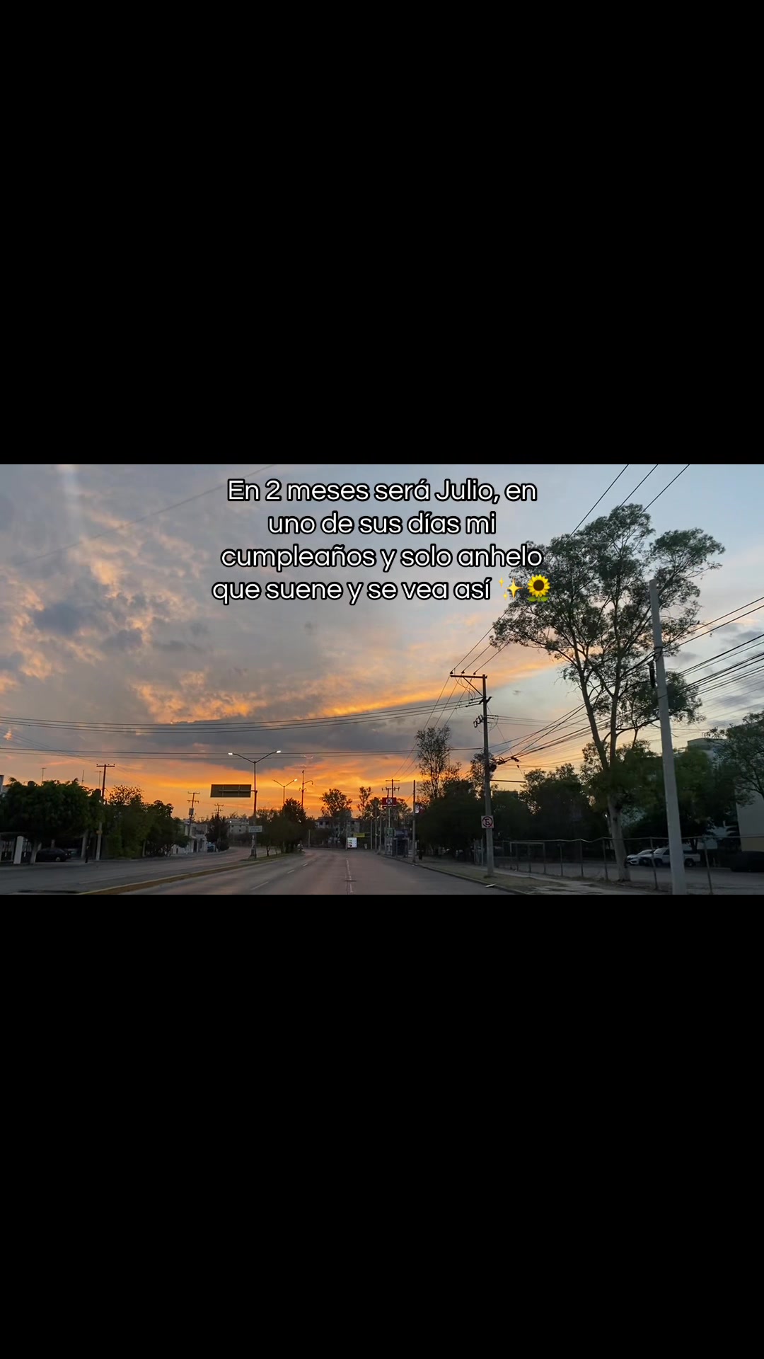 @Cielo Sky🩵