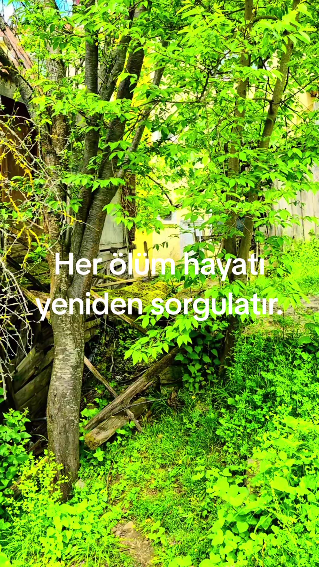@Ahmet &ouml;zcan