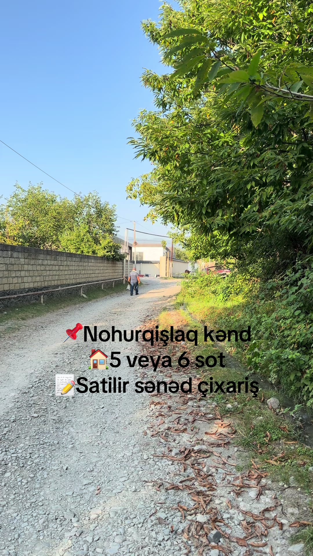 @Qəbələ Əmlak Ruzi