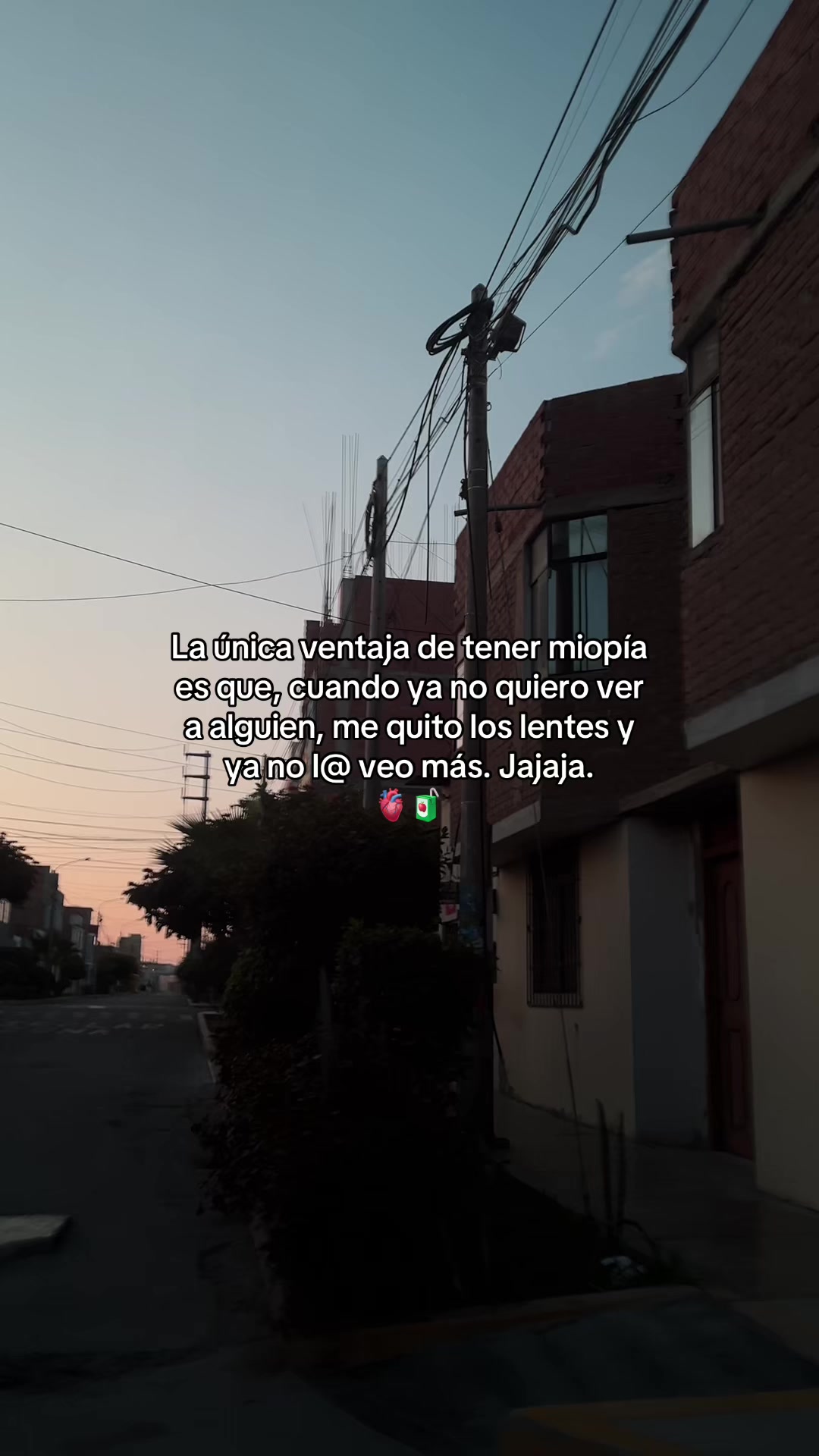 @Gatocix 🐱