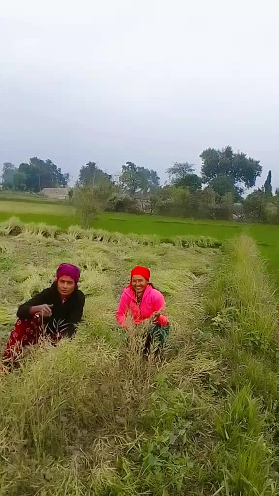 @देबु पोख्रेल 😘🌺❤️