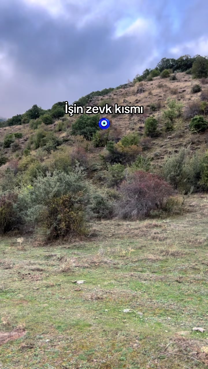 @Nuri