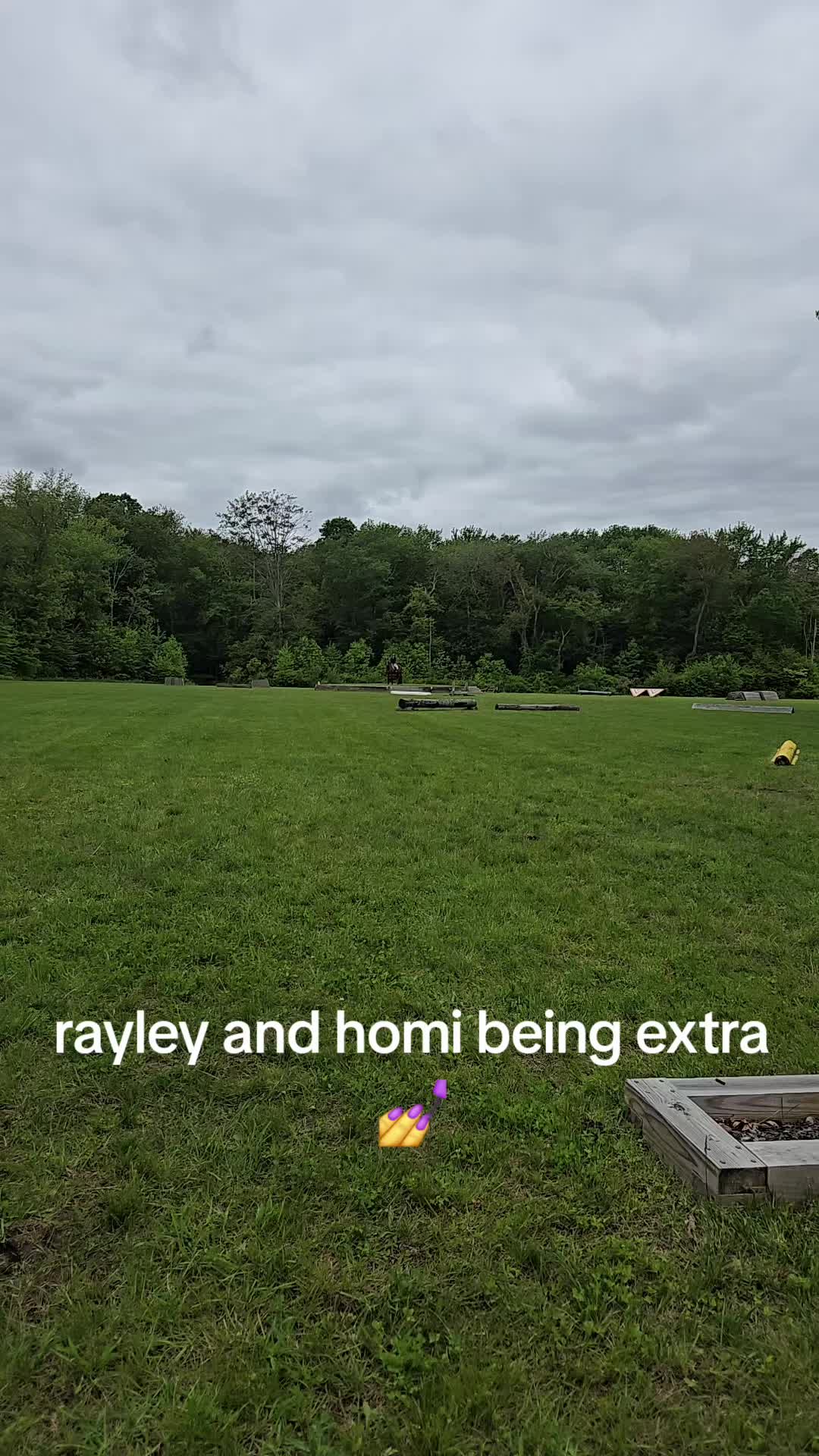 @Molly D'Agostino