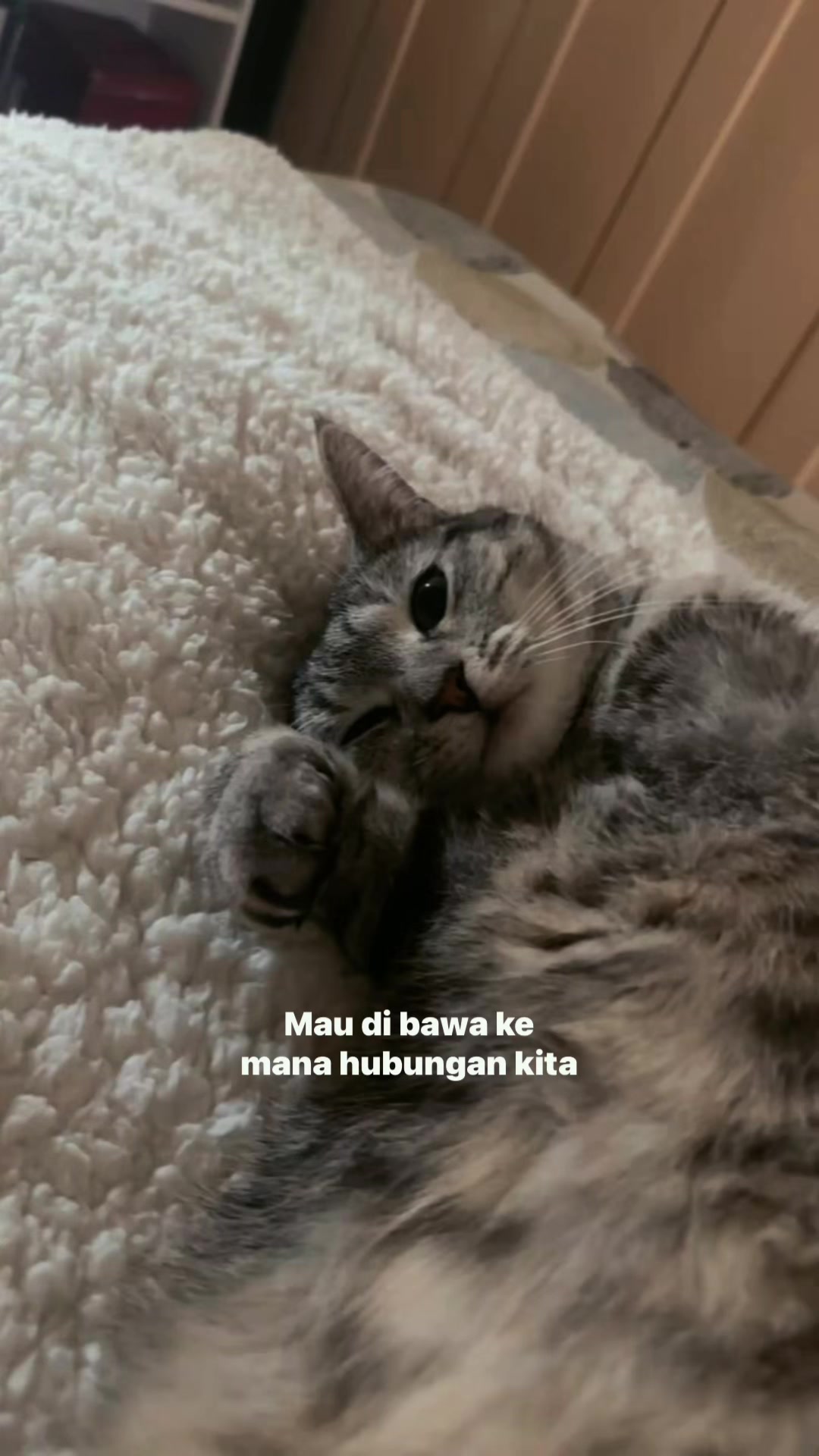 @^~^