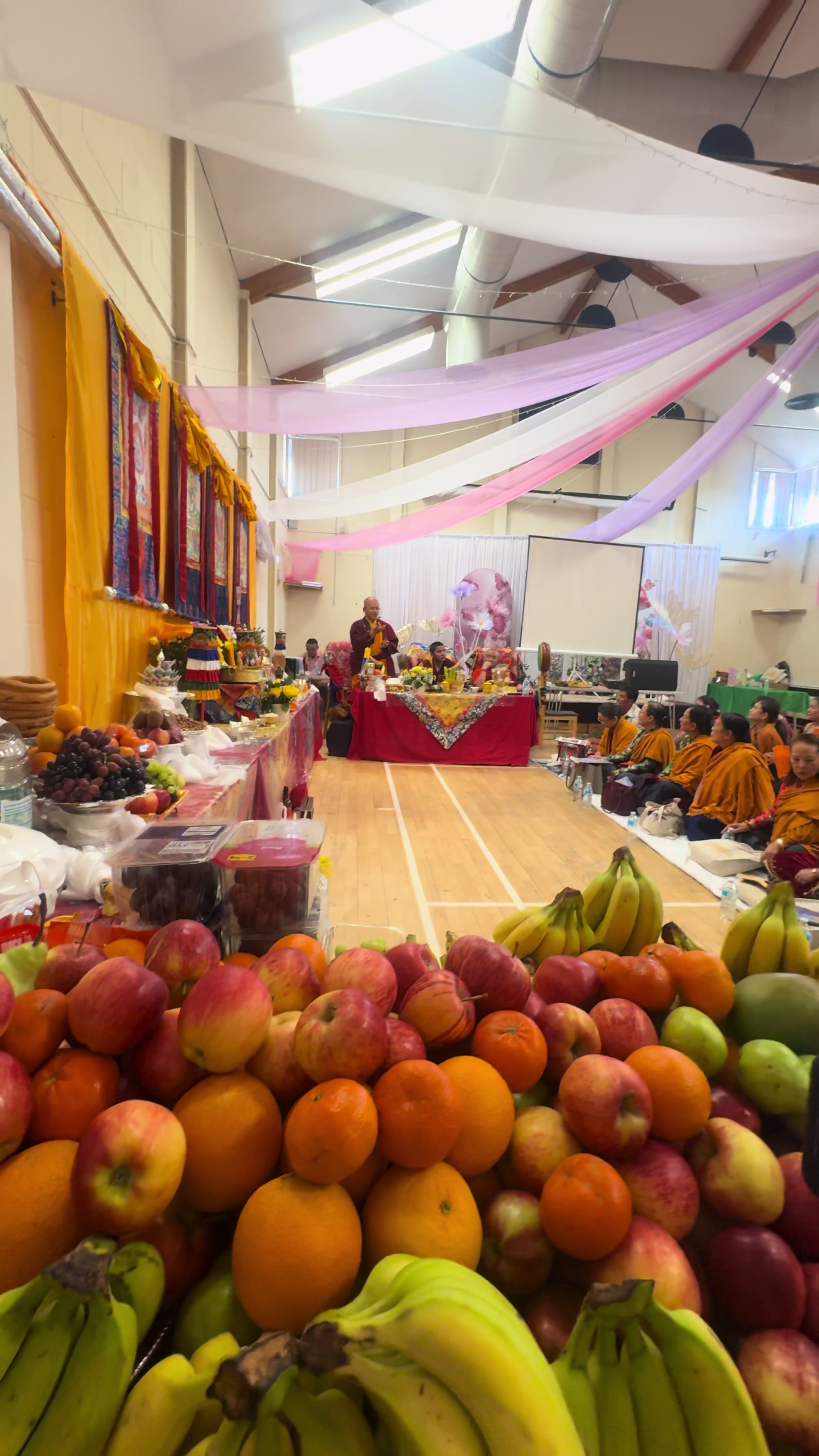 @koshis lobsang waiba