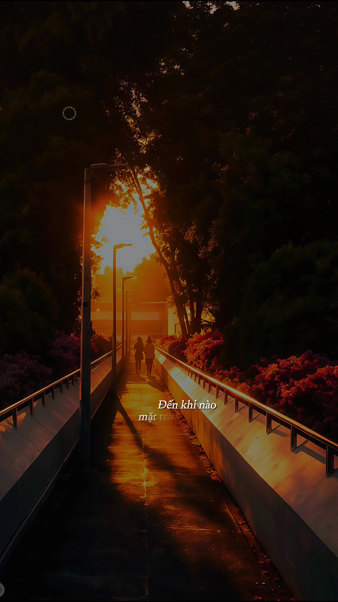 @𝐍𝐇𝐀̣𝐂 𝐓𝐈̀𝐍𝐇 𝐒𝐔𝐘 🎶