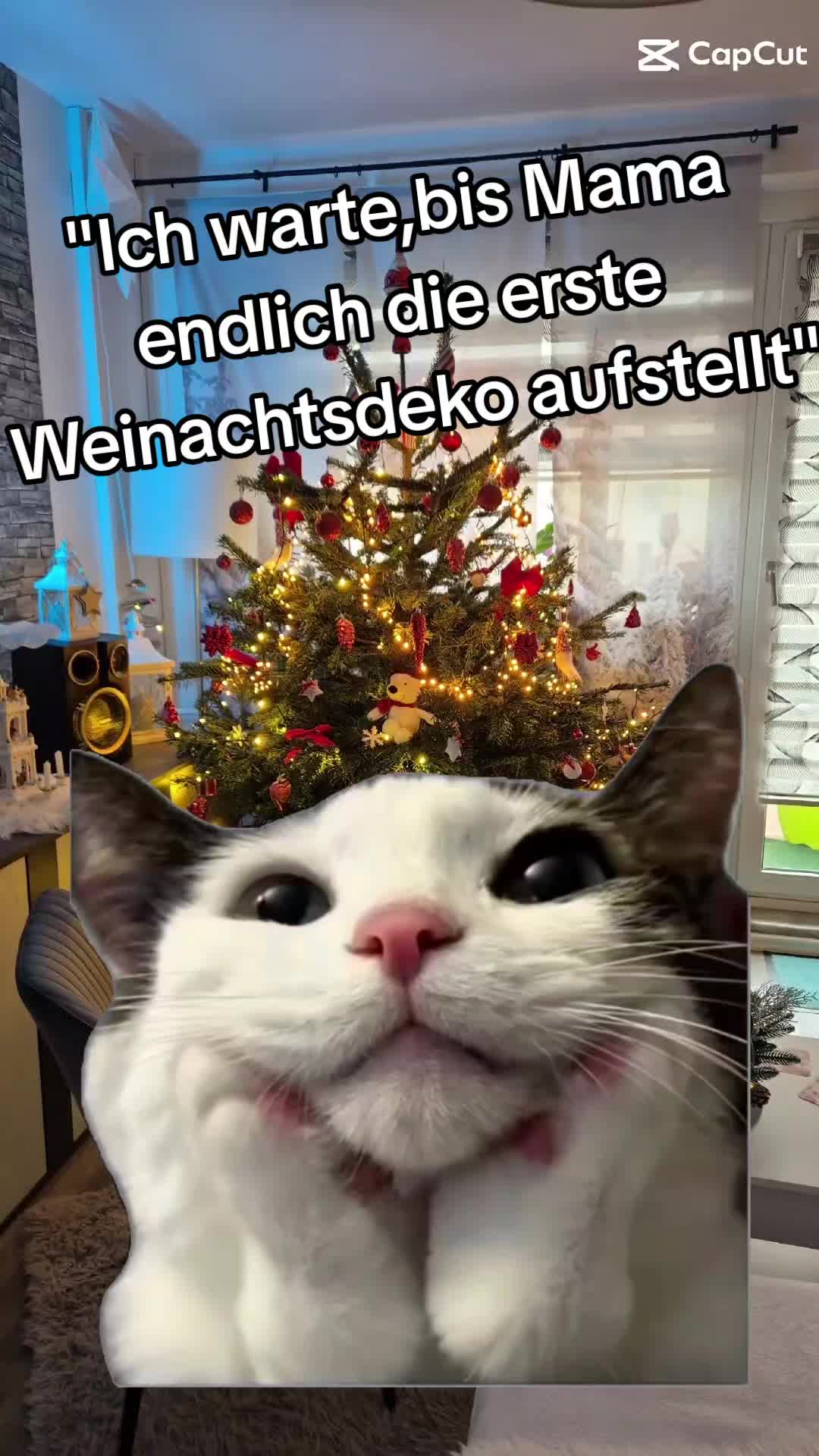 @๐ธ๐๐ธBLü๐ธMel๐ธein๐ธ๐๐ธ