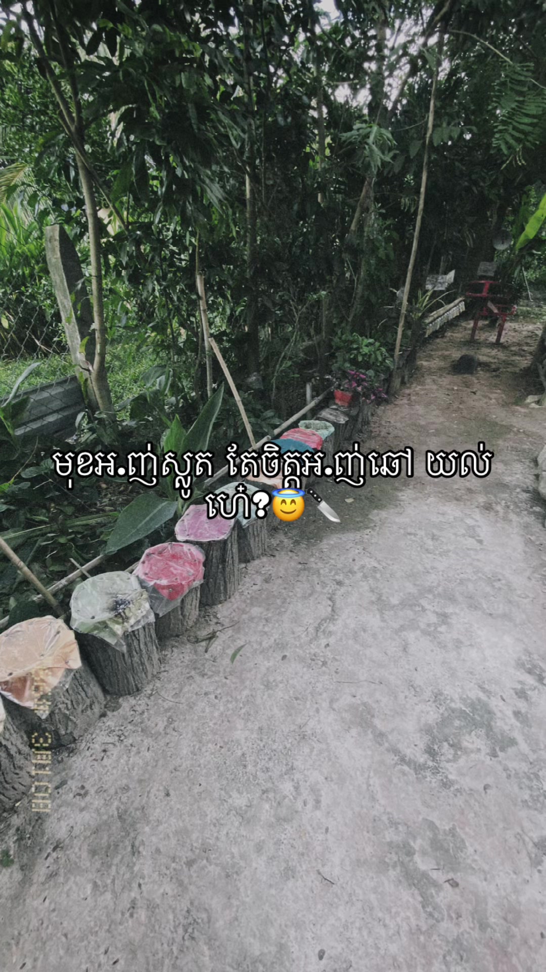 @កញ្ចនា កាលីប💗.