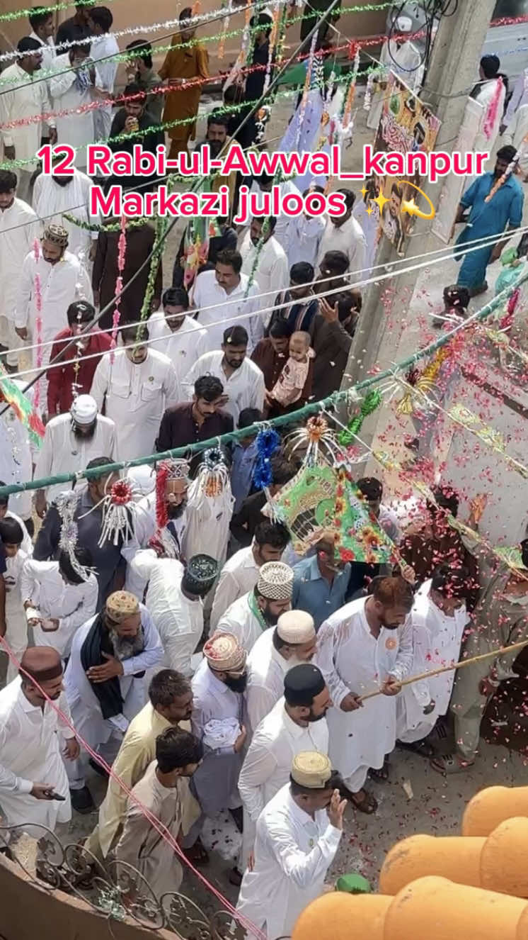 @alihamza10005