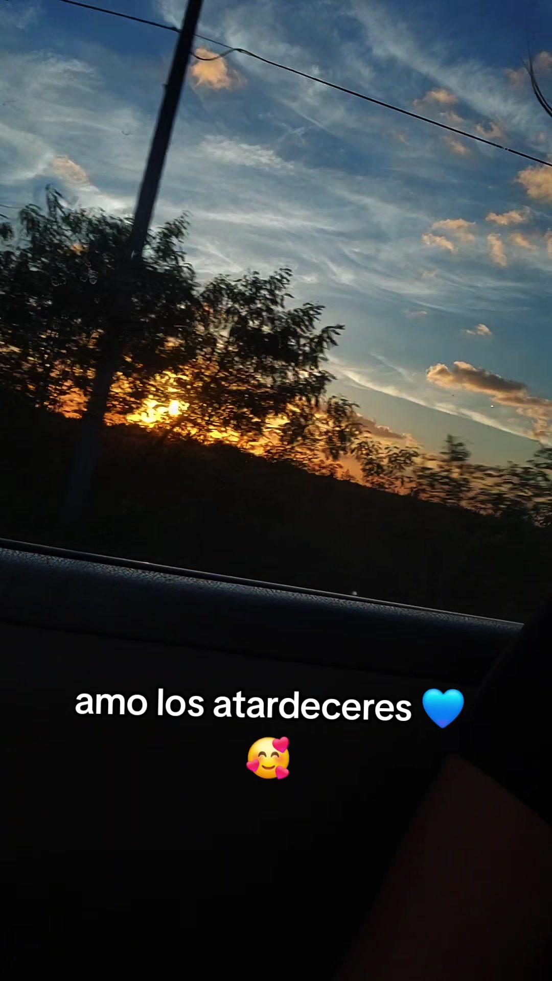 @🐛💙 Ballezagris🪴🍄