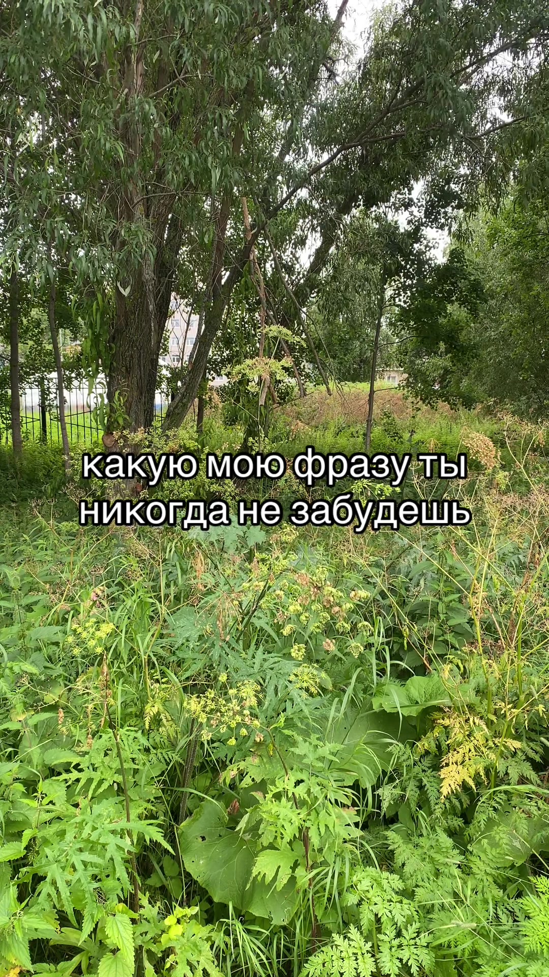 @Данил