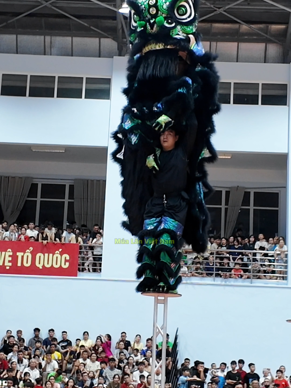 @M&uacute;a L&acirc;n Việt Nam 🇻🇳