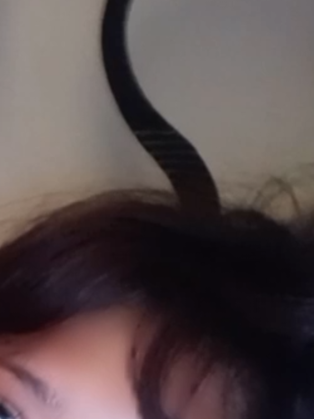 @☆
