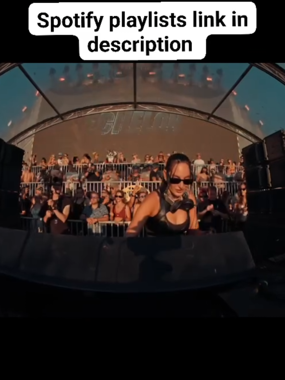 @Disco Mafia